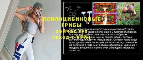 spice Баксан